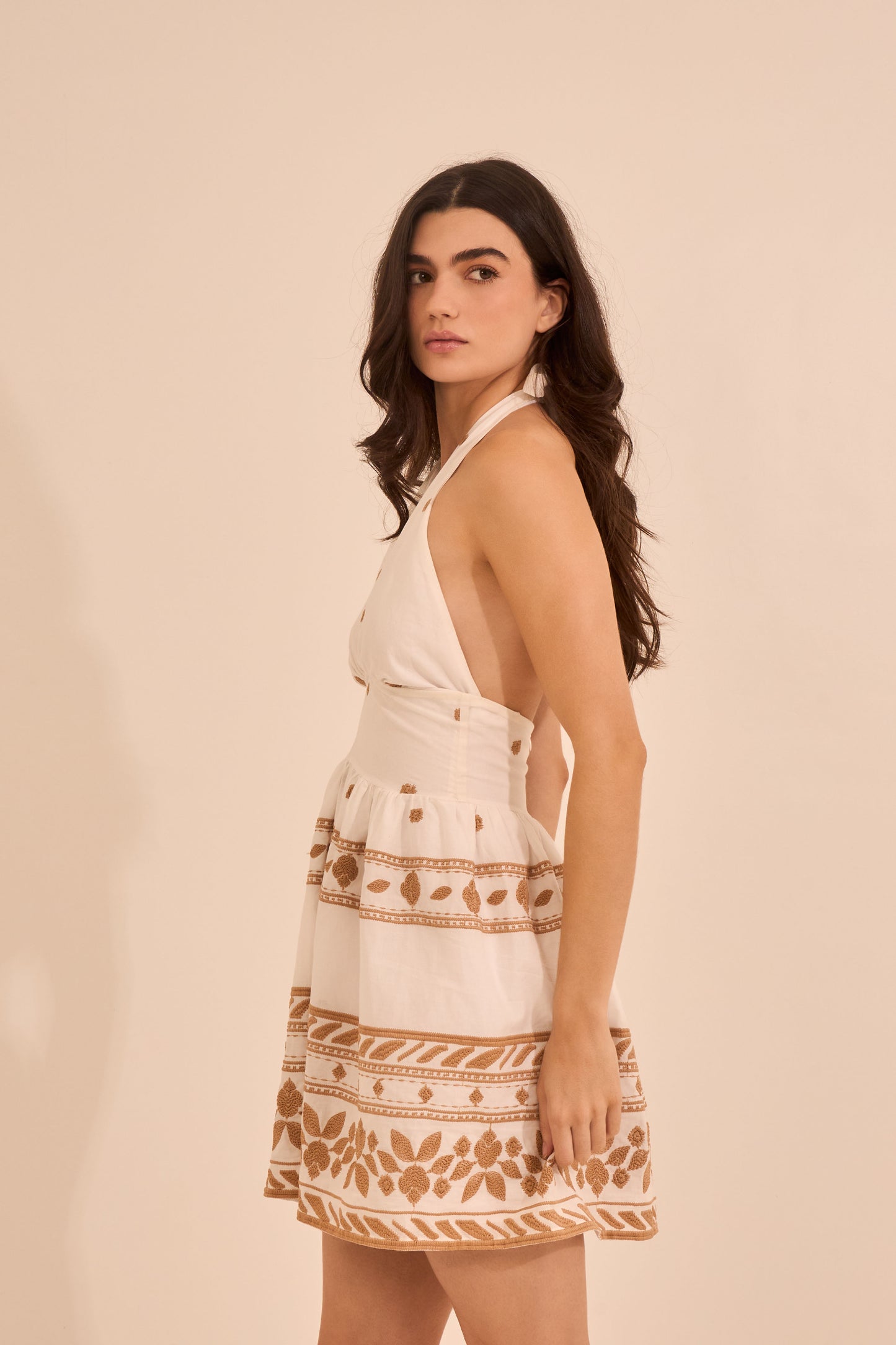 Mari Embroidered Dress